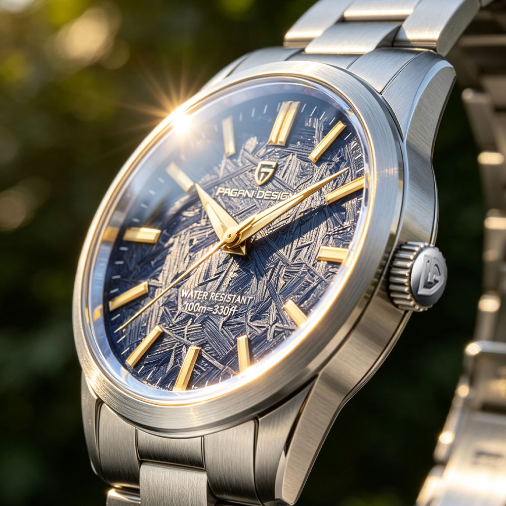 Young Men'S Accessories - PAGANI DESIGN 40MM Men Quartz Watch